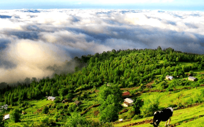 بهترین جای شمال